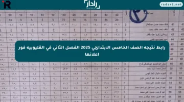 رابط نتيجة الصف الخامس الابتدائي 2025 الفصل الثاني في القليوبية فور إعلانها